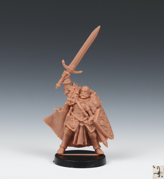 Grand Master of the Knights Citadel. - Image 2