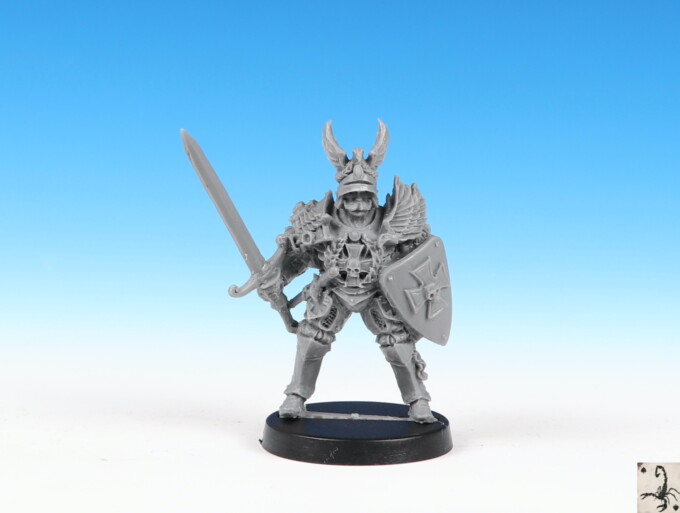 City Guard Captain - Image 2